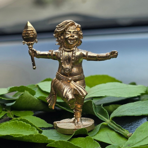Panchaloha Murugan With Peacock
