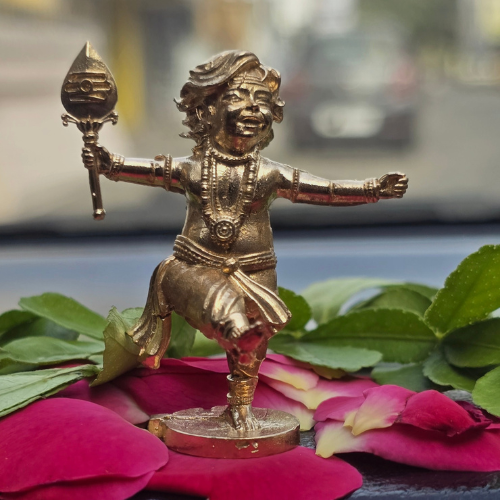 Panchaloha Murugan With Peacock