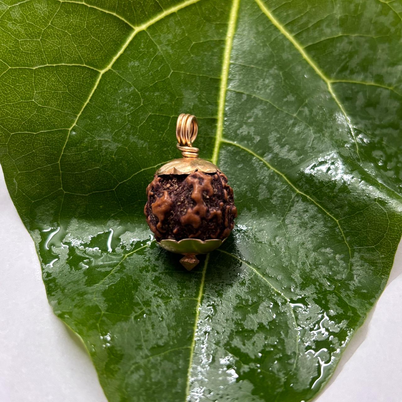 Original Nepali Rudraksham Pendant