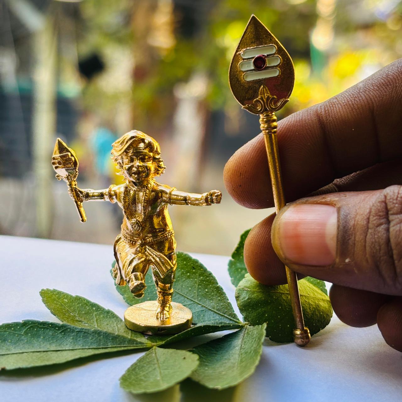 Panchaloha Murugan With Peacock